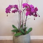 Kelowna Flower Delivery Shop | Flower Arrangements & Bouquets - Passionate Blooms