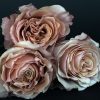 Flower Shop West Kelowna | Passionate Blooms Floral Design | Roses