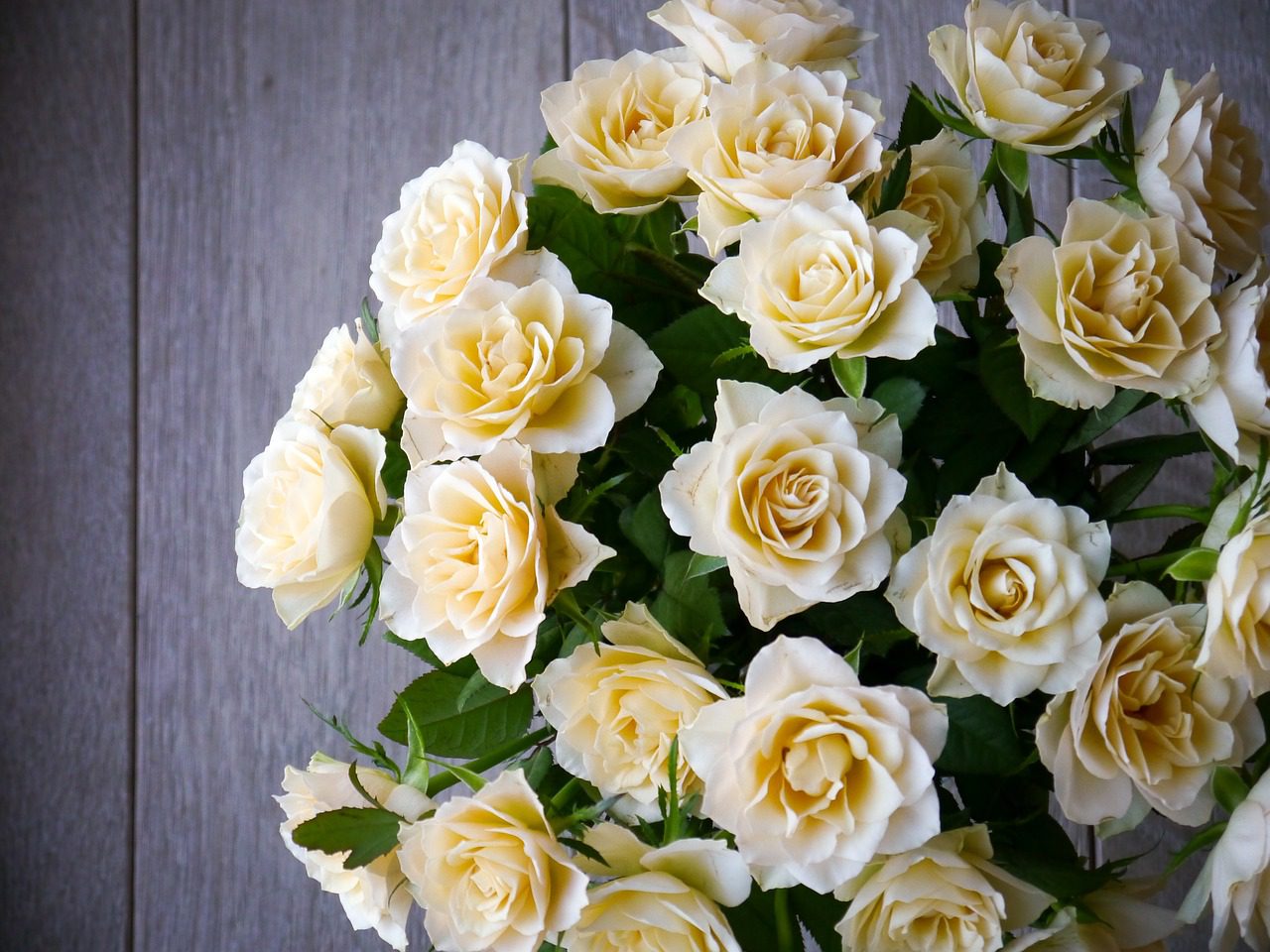 Flower Shop West Kelowna | Passionate Blooms Floral Design | Classic Rose