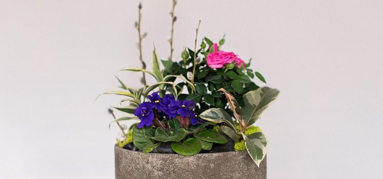 Flower Arrangements - Florist Workshops | Passionate Blooms