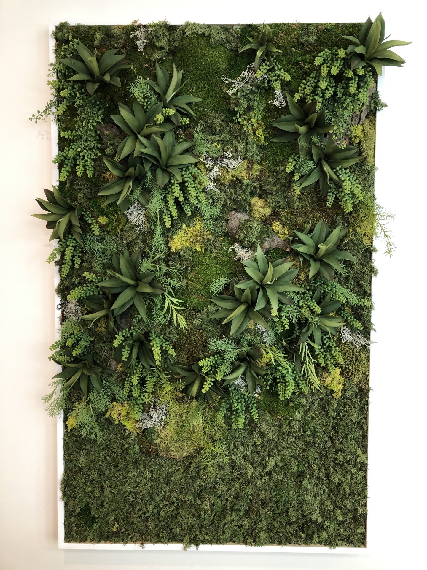 Moss Wall Frame | Passionate Blooms